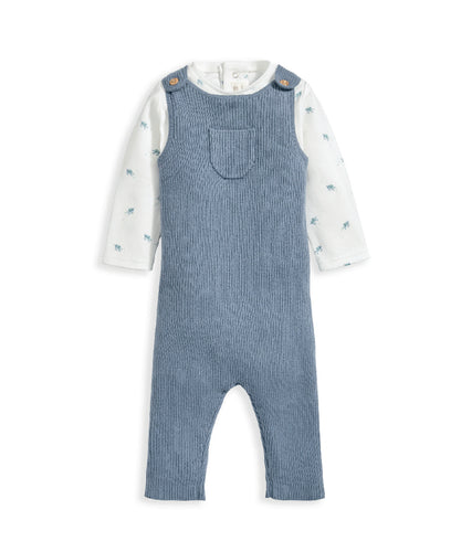 Turtle Bodysuit & Knitted Dungarees - Blue