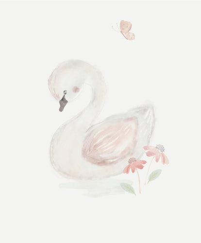 Welcome to the World Swan Picture