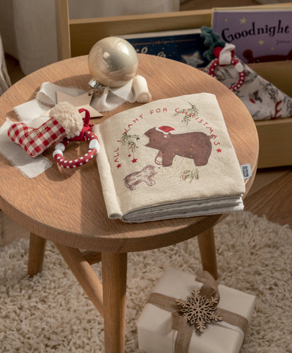 All I Want For Christmas Activity Book