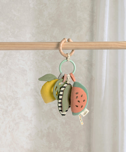 Activity Linkie Toy - Fruit