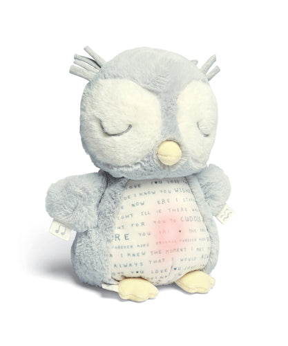 Light & Sounds Sensory Toy – Owlbie