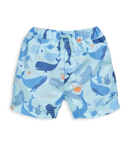 Whale All Over Print Board Shorts