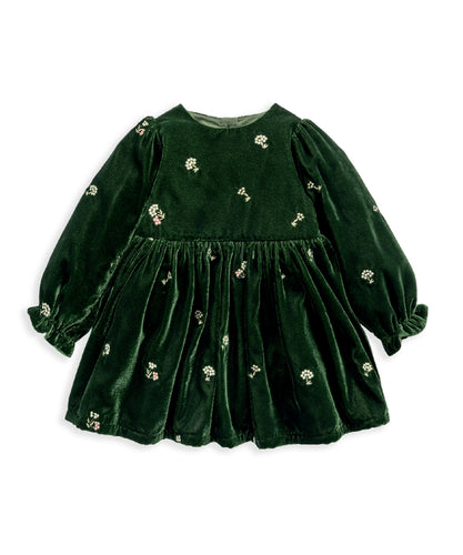 Green Velvet Dress