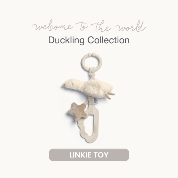 Welcome to the World Duckling Linkie Toy