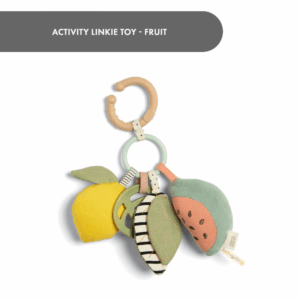 Activity Linkie Toy - Fruit